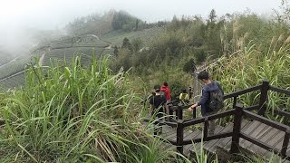 2017 阿里山隙頂二延平步道4K(雲瀑)