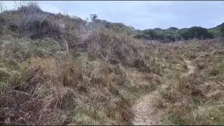 Jack And Lilly. Janeys Theory