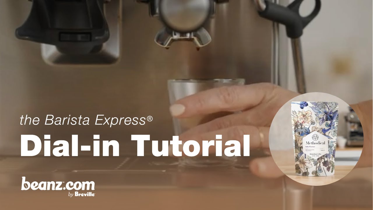 beanz.com | How to dial-in Belly Warmer by Methodical using the Barista Express® | Breville USA