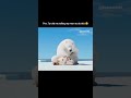 #funny #relatable #memes