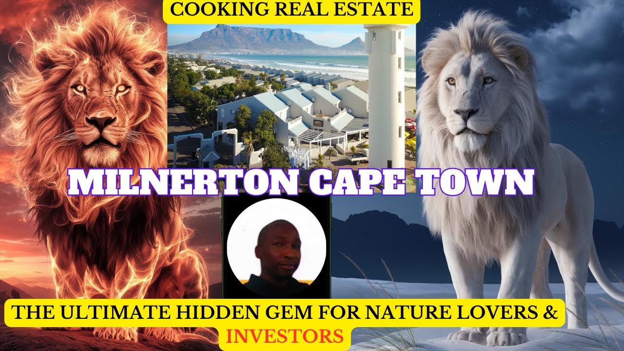 Milnerton, Cape Town: The Ultimate Hidden Gem for Nature Lovers & Investors