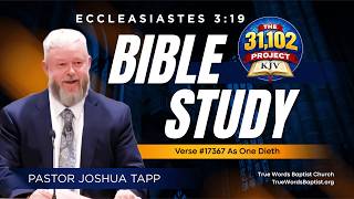 Ecclesiastes 3:19 Explained | As One Dieth, So Dieth the Other | Verse #17367 | The 31,102 Project