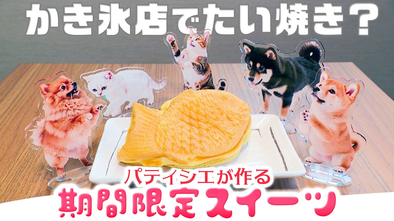 公式通販 - たい焼き様専用ページ｜Yahoo!フリマ（旧PayPayフリマ
