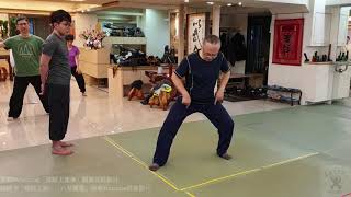 【推敲太極拳】【20200104(20)】讓襠維持一個水平上移動