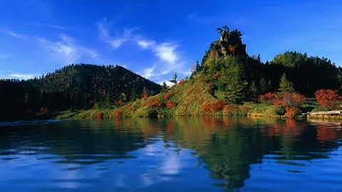 الشيخ شكرى البرعى ۞ سورة الحشر ۞