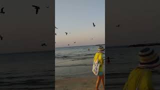 Tennis at Sunset to the Cries of Seagulls on the Beach of Tel-Aviv