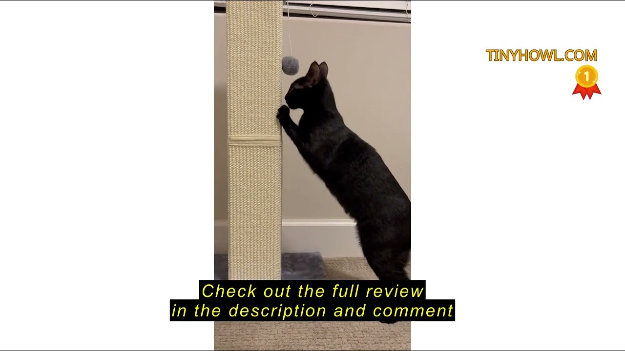 Review YULOYI 32" Tall Cat Scratching Post for Large Indoor Cats & Kittens, Cat Scratcher with Extra