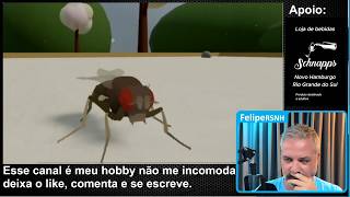 Mosca Tem Corpo e Cérebro Digital