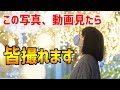 【家族写真OK】カメラ初心者向けイルミネーションポートレートのおすすめの撮り方は・・・