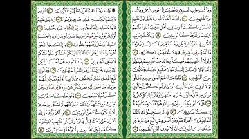 القرآن الكريم سورة القصص ص 391 392