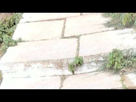 Anees Fatima Sameer is live - YouTube