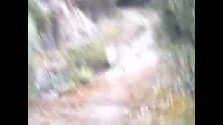 Chollas Open Space Park