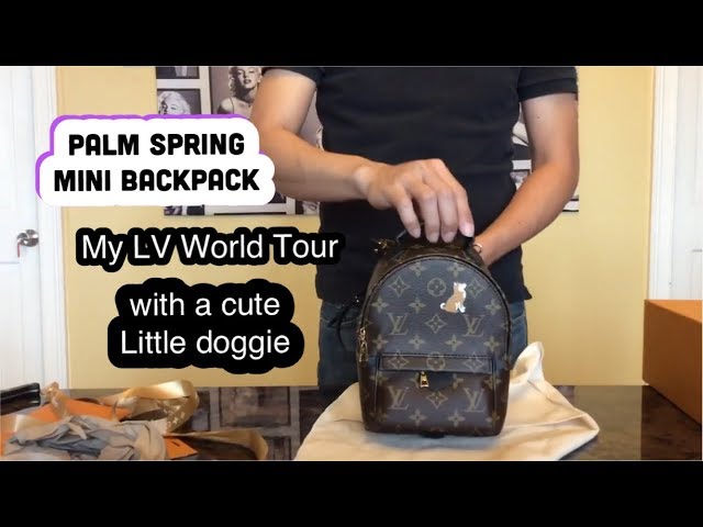 LOUIS VUITTON WORLD TOUR PALM SPRINGS MINI BAG PACK
