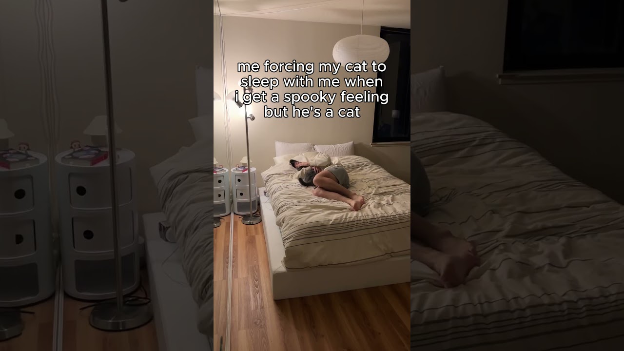 forcing my cat to sleep with me when im scared