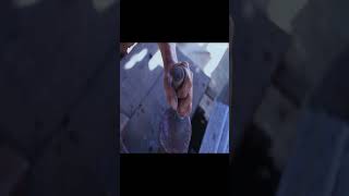 P92: Amazing! Blacksmith Forged New Knife From Very Old Rusty Knife #shortsfeed