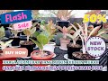 STOK AGLAONEMA HARGA TERMURAH HANG MAKIN DIBIKIN MURAH. SIAP LIBUR DIBORONG HABIS STOKNYA. Eps 1748