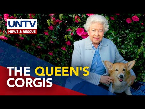 1. Queen Elizabeth's Dog's Unwavering Loyalty