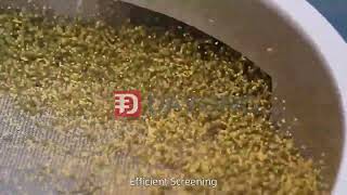 How can the rotary vibrating screen quickly separate mung beans from millet