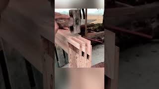 Unveiling Woodworking's "Impossible" Joints: Visual Explanations