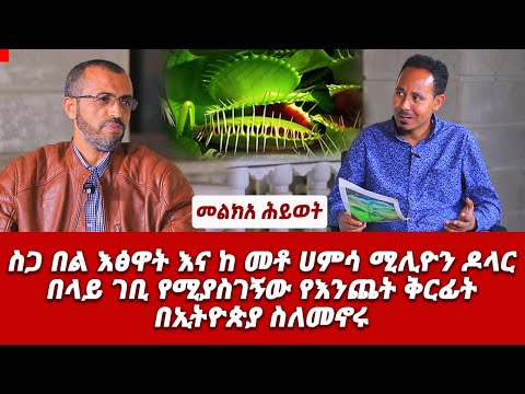 ቪዲዮ: የእንጨት እፅዋት የመግረዝ መመሪያ፡ በአትክልቱ ውስጥ የእንጨት እፅዋትን እንዴት መቁረጥ እንደሚቻል