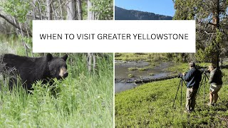 When to Visit Yellowstone Expert Advice from Gather Away