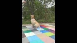 Bounce bouncing on the rubber screenshot 5