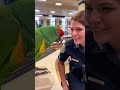 Today Vrey Happy Parrot Police #youtub#shortvideo#foryou