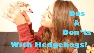 Dos and Don'ts with Hedgehogs!! by Liv Chambliss 39,403 views 7 years ago 14 minutes, 43 seconds