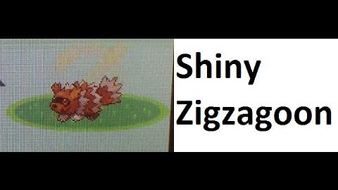 SBQ#2 EXTRA: LIVE!! Shiny Zigzagoon in Pokemon Sapphire after 12269 RE