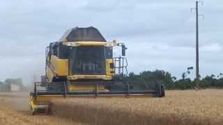 moisson 2015 New holland CX 820