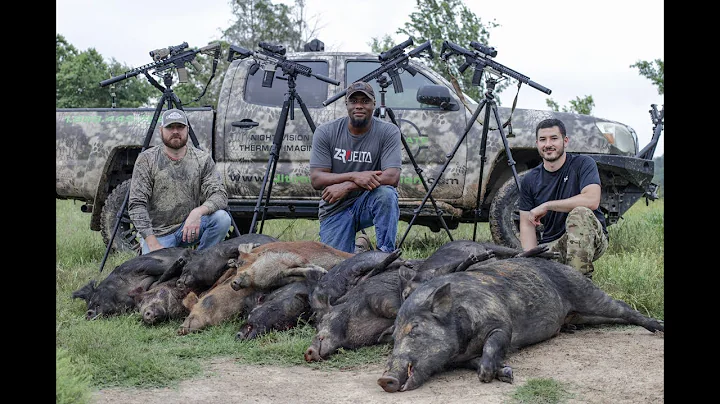 22 Hogs down with Ultimate Night Vision