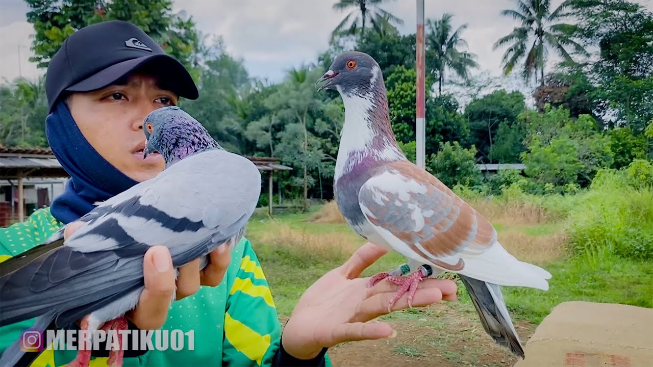 LANGSUNG TEST LAPAK POLTANG BARU