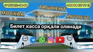 москва ташкент автобус россия узбекистан 2023 давлат рейслари хизмати нархлари катновлари