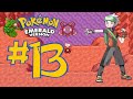 Pokemon Emarald Walkthrough Part 13
