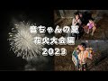 家族の思い出・新居浜花火大会編