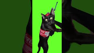 Cat Coca Cola #greenscreen #greenscreenvideo #shortsvideo #cat #smile #video