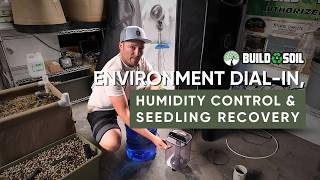 BuildASoil: 2x4 Grow Tent Season 3 // Environment Dial-In, Humidity Control & Seedling Recovery