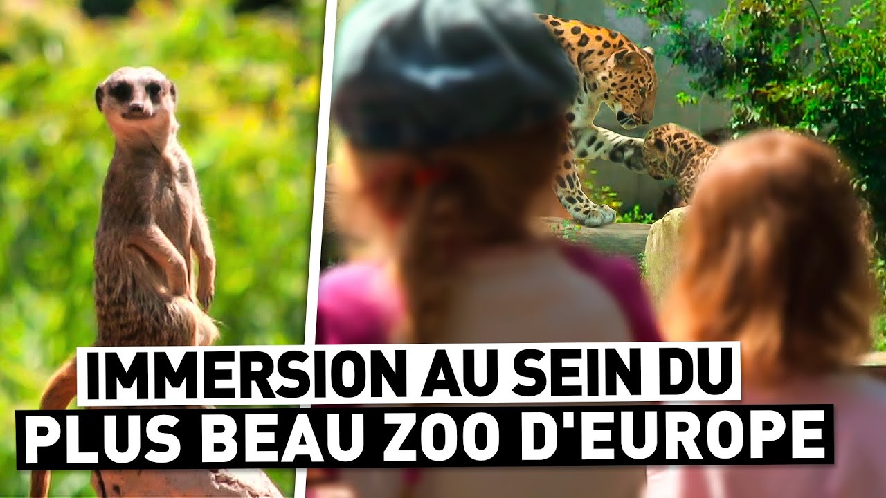 LE PLUS BEAU ZOO D'EUROPE