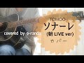 アニメ「違国日記」主題歌 ソナーレ(朝LIVE ver.)カバー