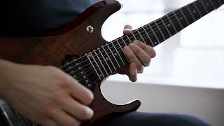 E Standard Tuning is METAL // We Are The Nightmare - Arsis