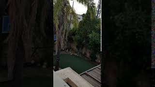 20190604 183542 1