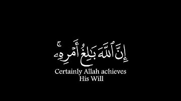 {وَمَنْ يَتَّقِ اللَّهَ يَجْعَلْ لَهُ مَخْرَجًا}كروما شاشة سوداء- سورة الطلاق الشيخ د. ماهر المعيقلي