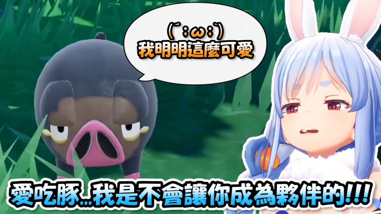 佩可拉打死都不想讓愛吃豚成為夥伴，最終在對方的死纏爛打之下還是抓了起來www【兔田佩可拉】【Hololive/ホロライブ】【vtuber中文字幕】