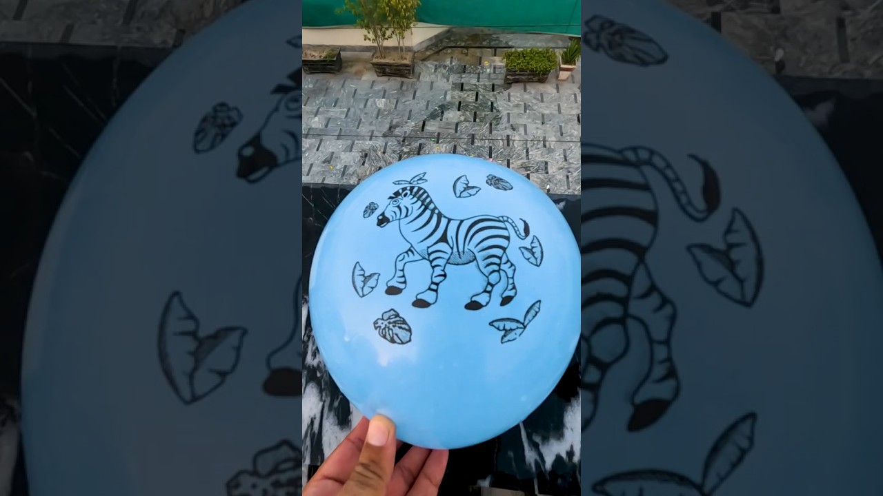 🦓 💧 What Happens When This Zebra Balloon Hits the Ground?! 💥🌼