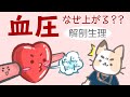 奥深い血圧のしくみ パート1【血圧の正確な意味，なぜ上がるのか？ など】