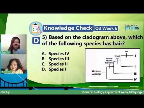 Video: Ang Amoebozoa ba ay heterotrophic?