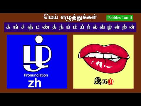 மெய் எழுத்துக்கள் - Mei Ehuthukkal | Learn Tamil | Basic Tamil Learning Videos, Mei eluthukkal