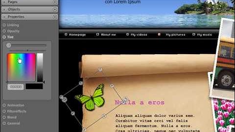 MAGIX Website Maker - Properties