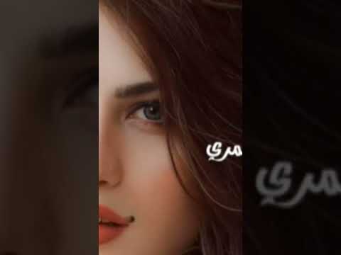 معزوفه داشره مطلوبه اكثر شي طرب