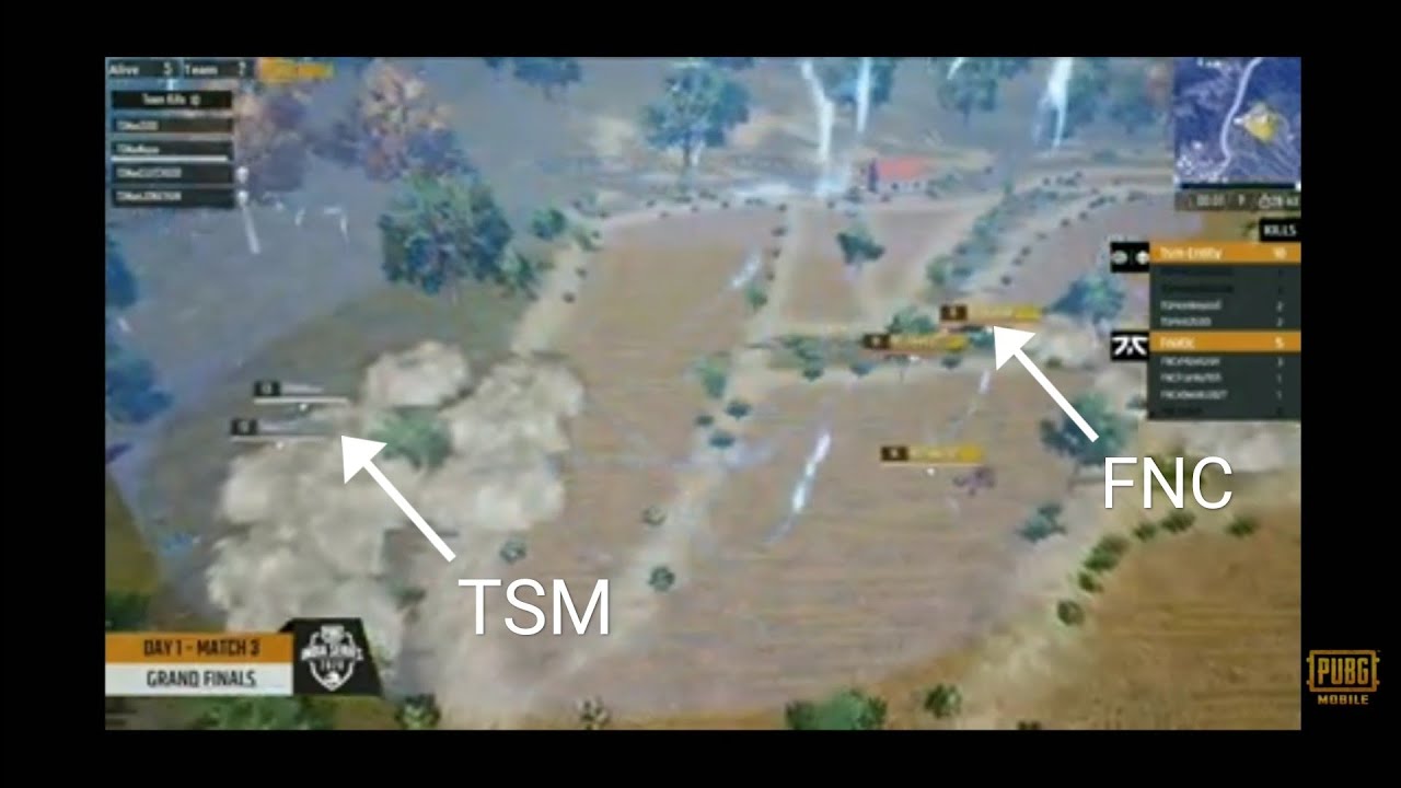 || PMIS final || Tsm Vs Fnc Vs Or|| End Circle 3vs2 chicken